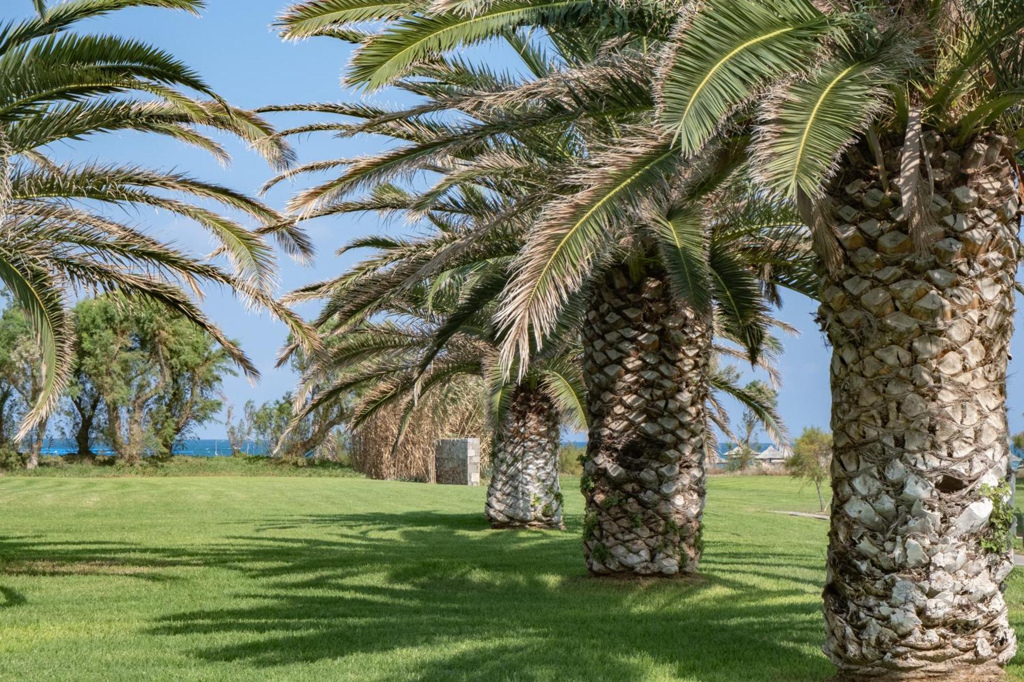 Agapi Beach Resort Premium All Inclusive Amoudara Lasithiou Exterior foto